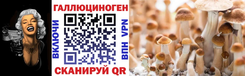 ссылка на мегу tor Сасово Галлюциногенные грибы Cubensis